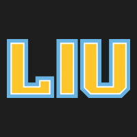 Long Island University Sharks Heavyweight Hoodie | Teevron