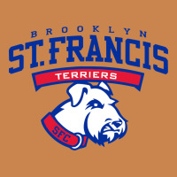 St. Francis Brooklyn Terriers Heavyweight Hoodie | Teevron