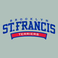 St. Francis Brooklyn Terriers Heavyweight Hoodie | Teevron