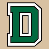 Dartmouth Heavyweight Hoodie | Teevron