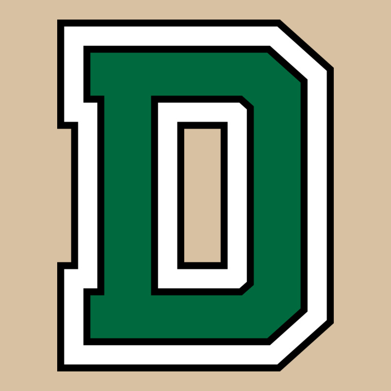Dartmouth Heavyweight Hoodie by linhVisuals | Teevron
