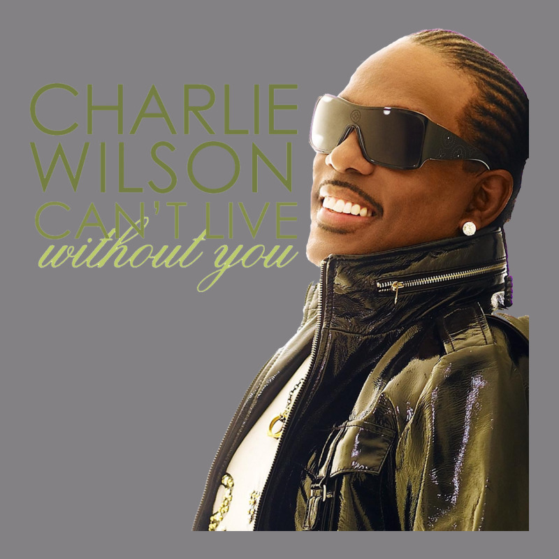 Charlie Wilson Heavyweight Hoodie by linhVisuals | Teevron