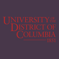 University Of The District Of Columbia Heavyweight Hoodie | Teevron