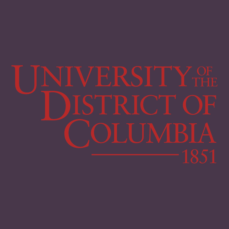 University Of The District Of Columbia Heavyweight Hoodie by linhVisuals | Teevron