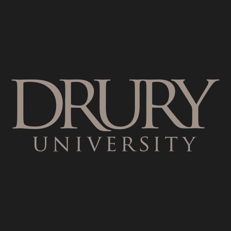 Drury University Heavyweight Hoodie by linhVisuals | Teevron