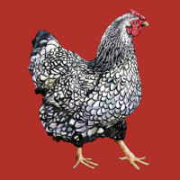 Wyandotte Chicken Premium Hoodie | Teevron