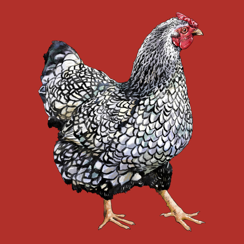 Wyandotte Chicken Premium Hoodie by LillyAllenDesigns | Teevron