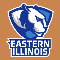 Eastern Illinois Panthers Heavyweight Hoodie | Teevron