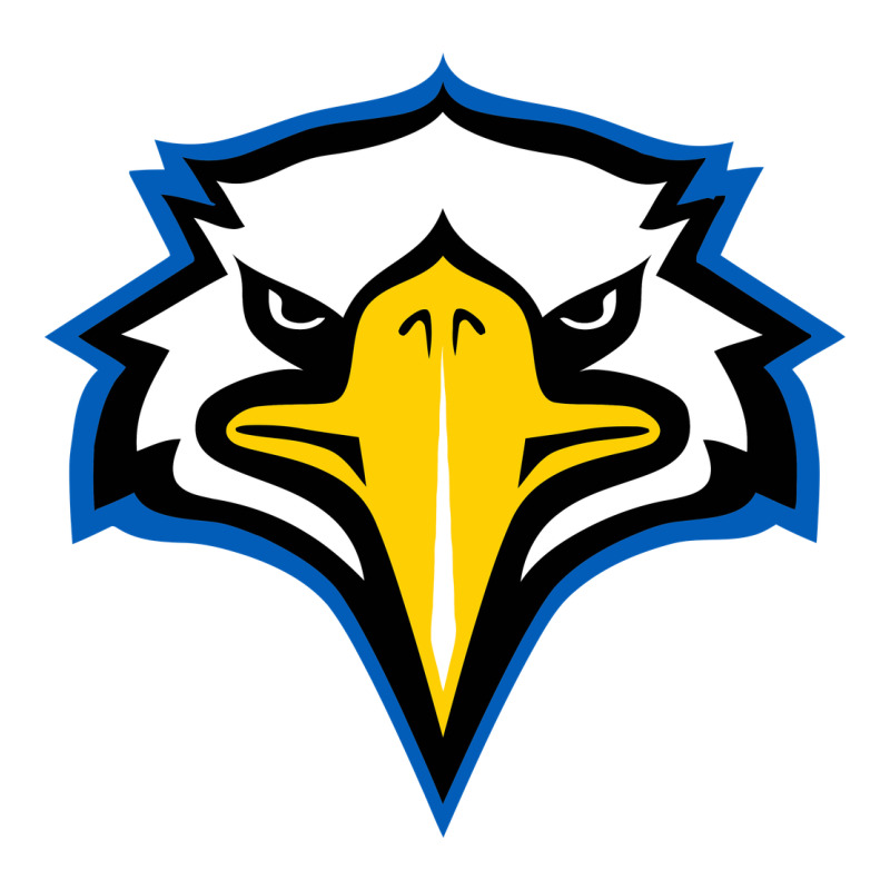 Morehead State Eagles Heavyweight Hoodie by linhVisuals | Teevron