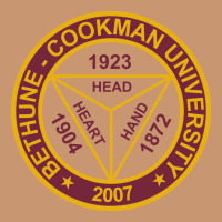Bethune Cookman Heavyweight Hoodie | Teevron