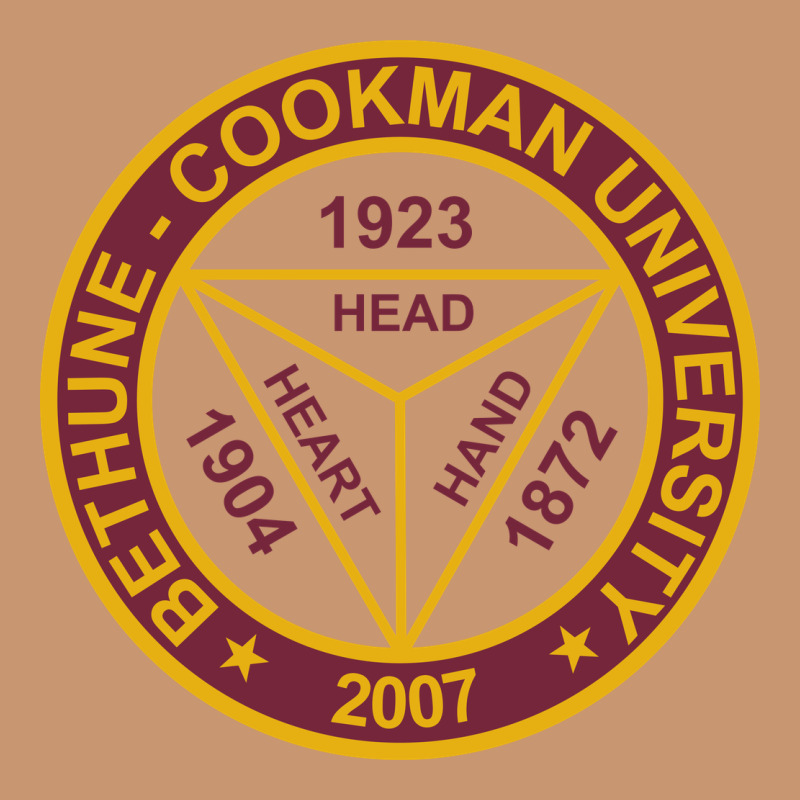 Bethune Cookman Heavyweight Hoodie by linhVisuals | Teevron