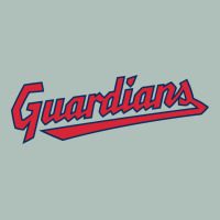 Guardians Heavyweight Hoodie | Teevron