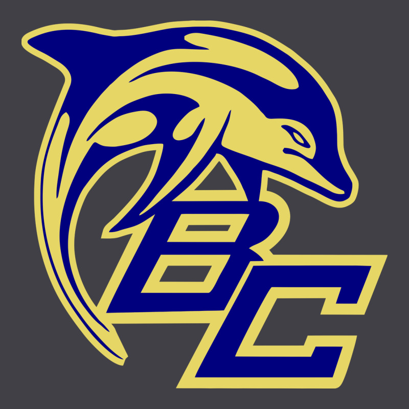Battery Creek High School, Beaufort Heavyweight Hoodie by linhVisuals | Teevron