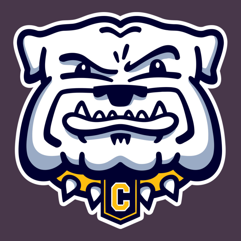 Chelse Bulldogs Heavyweight Hoodie by linhVisuals | Teevron