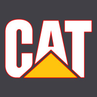Cat Heavyweight Hoodie | Teevron
