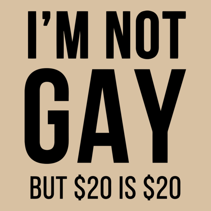 I'm Not Gay But $20 Is $20 (white) Heavyweight Hoodie by linhVisuals | Teevron