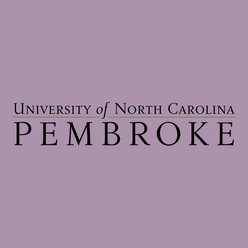 University Of North Carolin Pembroke Heavyweight Hoodie by linhVisuals | Teevron