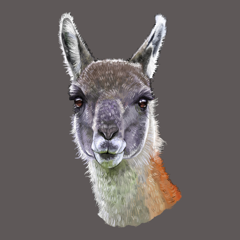 Guanaco Llama Head Premium Hoodie by LillyAllenDesigns | Teevron