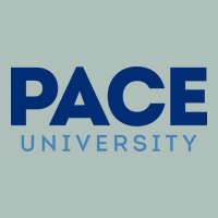 Pace University Heavyweight Hoodie | Teevron