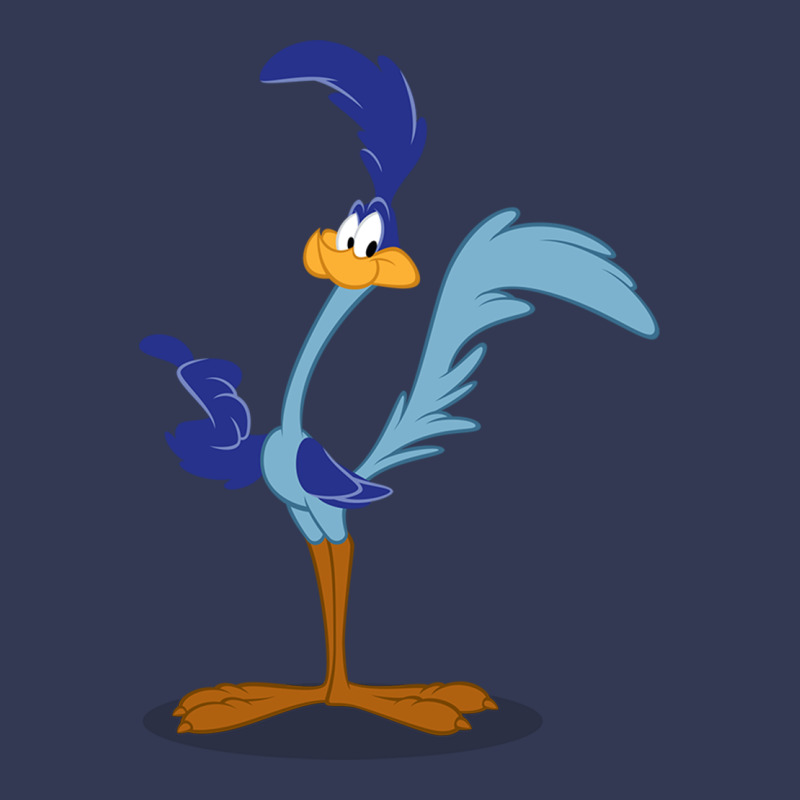Roadrunner Heavyweight Hoodie by linhVisuals | Teevron