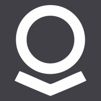 Palantir Heavyweight Hoodie | Teevron