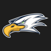 Eagle High School Heavyweight Hoodie | Teevron