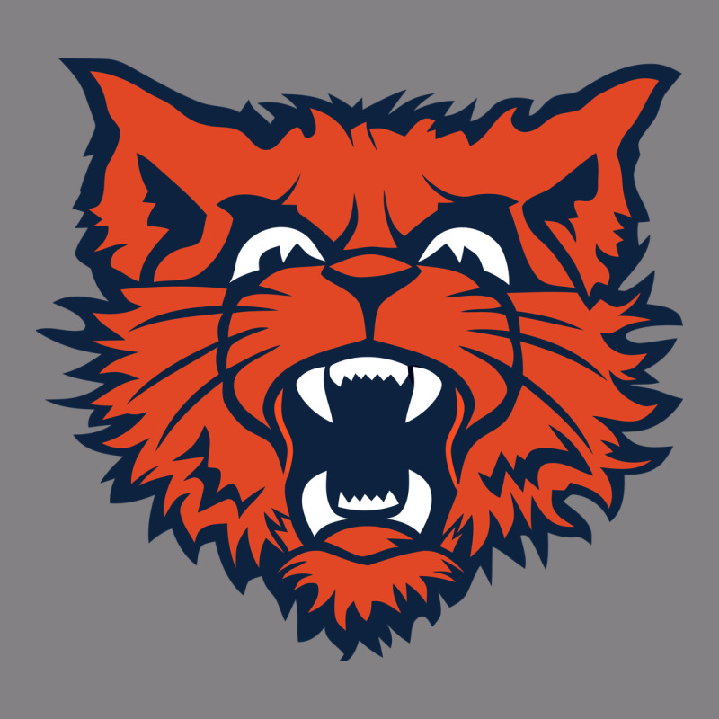Evanston Township High School Heavyweight Hoodie by linhVisuals | Teevron
