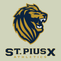 St Pius X High School Athletics Heavyweight Hoodie | Teevron