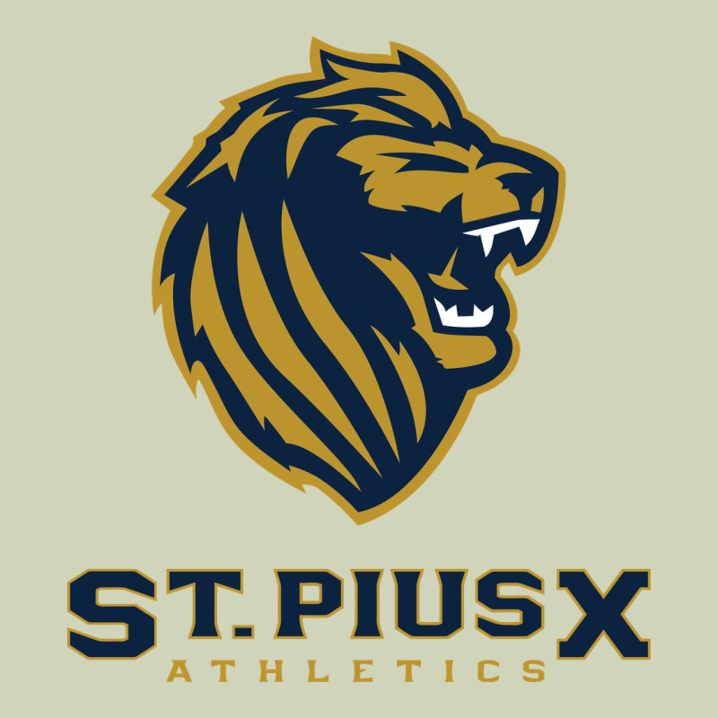 St Pius X High School Athletics Heavyweight Hoodie by linhVisuals | Teevron