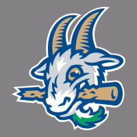Hartford-yard-goats Heavyweight Hoodie | Teevron