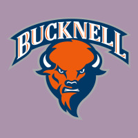Bucknell Heavyweight Hoodie | Teevron