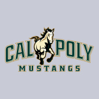 Cal Poly Heavyweight Hoodie | Teevron