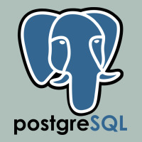 Postgresql Heavyweight Hoodie | Teevron
