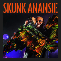 Skunk Anansie Heavyweight Hoodie | Teevron