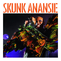 skunk anansie | Teevron