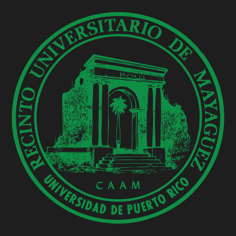 University Of Puerto Rico Mayagüez Heavyweight Hoodie by linhVisuals | Teevron