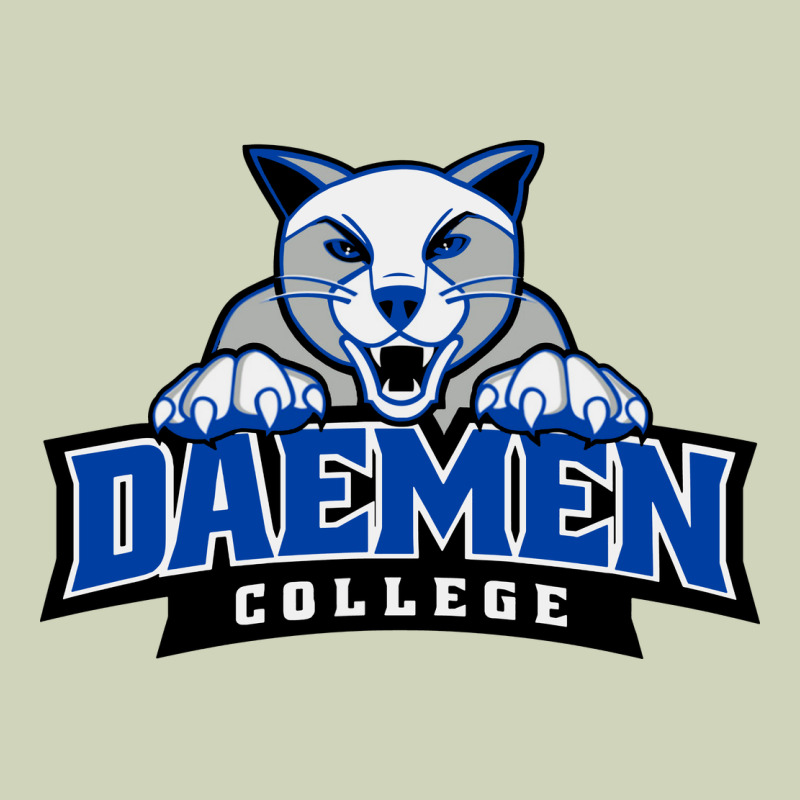 Daemen College Heavyweight Hoodie by linhVisuals | Teevron
