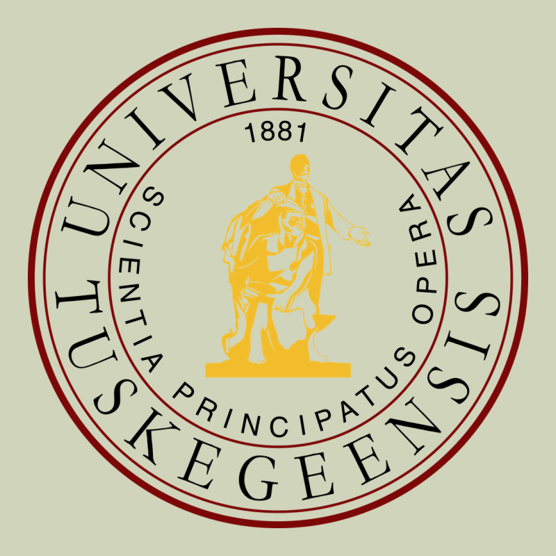 Tuskegee University Heavyweight Hoodie by linhVisuals | Teevron