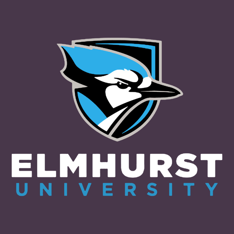 Elmhurst University Heavyweight Hoodie by linhVisuals | Teevron