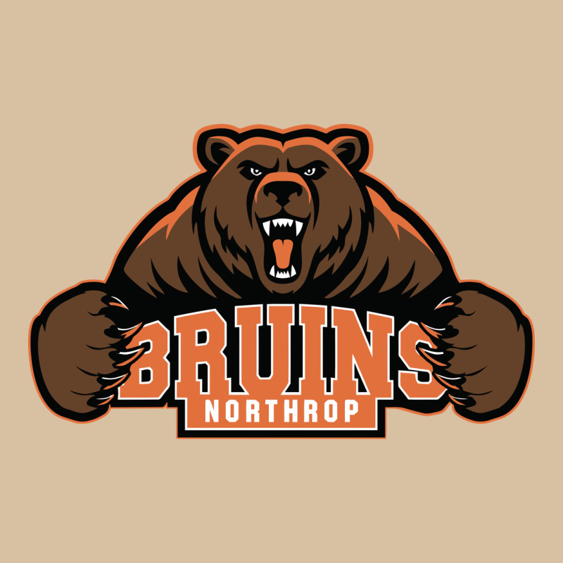 Northrop High School Heavyweight Hoodie by linhVisuals | Teevron