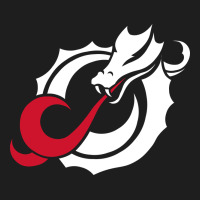 Msum Dragons, Gear Heavyweight Hoodie | Teevron
