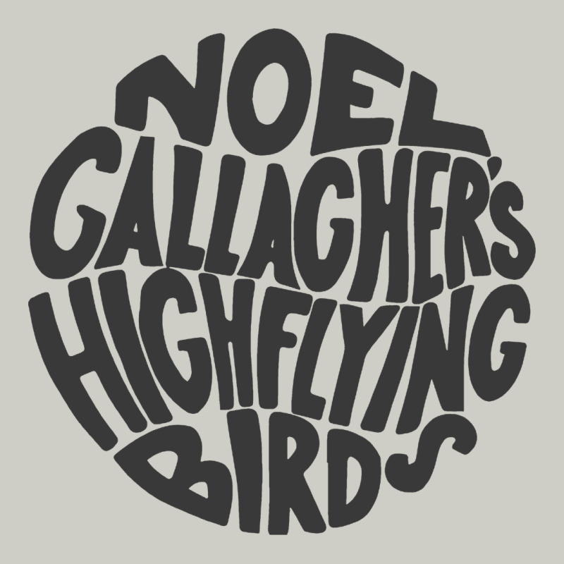 Noel Gallagher's High Flying Birds Classic Heavyweight Hoodie by linhVisuals | Teevron