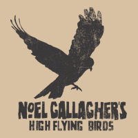Noel Gallagher's High Flying Birds Classic Heavyweight Hoodie | Teevron