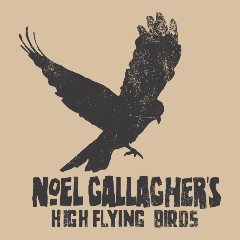 Noel Gallagher's High Flying Birds Classic Heavyweight Hoodie by linhVisuals | Teevron