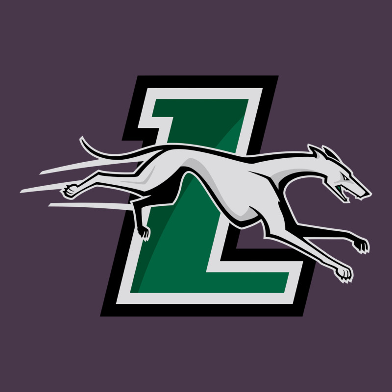 Loyola (md) Greyhounds Heavyweight Hoodie by linhVisuals | Teevron