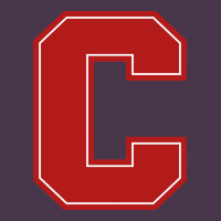 Cornell Big Red Heavyweight Hoodie | Teevron
