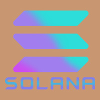 Solana Cryptocurrency Solana Heavyweight Hoodie | Teevron