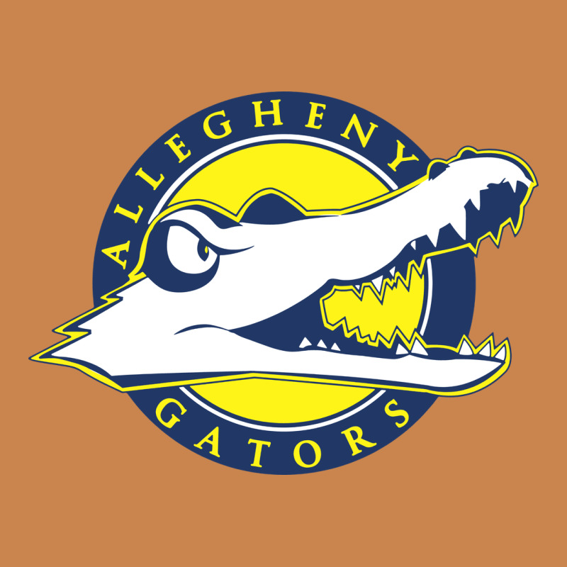 Allegheny Merch Heavyweight Hoodie by linhVisuals | Teevron
