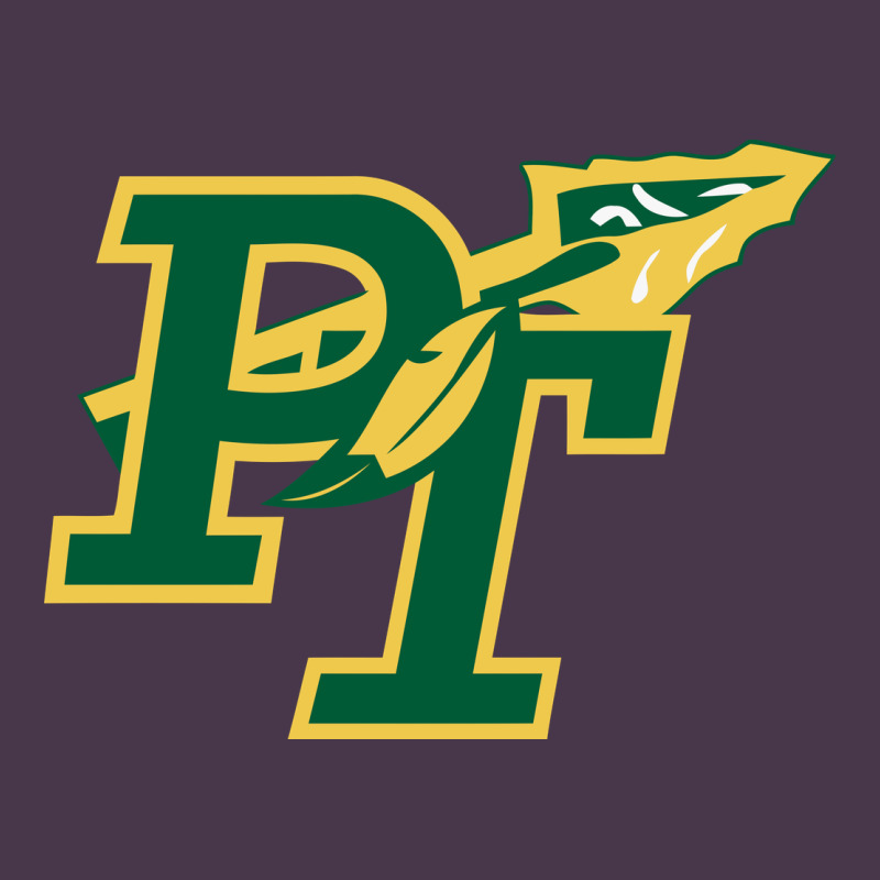 Penn Trafford School District Heavyweight Hoodie by linhVisuals | Teevron