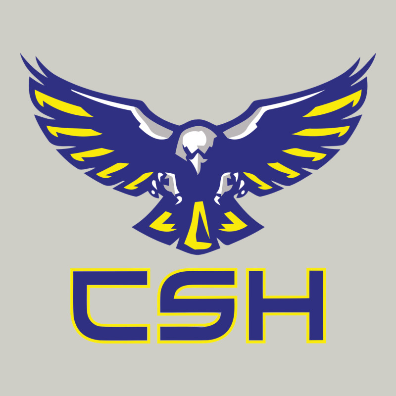Cold Springs High School Heavyweight Hoodie by linhVisuals | Teevron